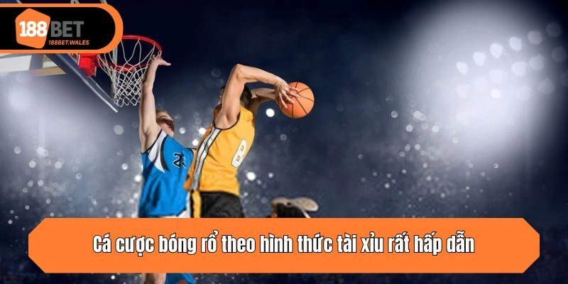 Cá cược bóng rổ theo hình thức tài xỉu rất hấp dẫn