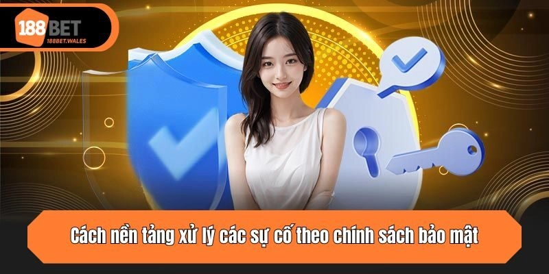 Cách nền tảng xử lý các sự cố bảo mật