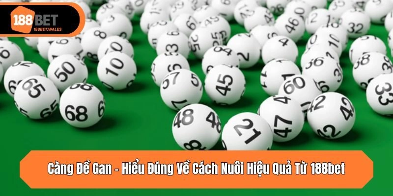 Càng đề gan có cách thực hiện đơn giản, dễ hiểu