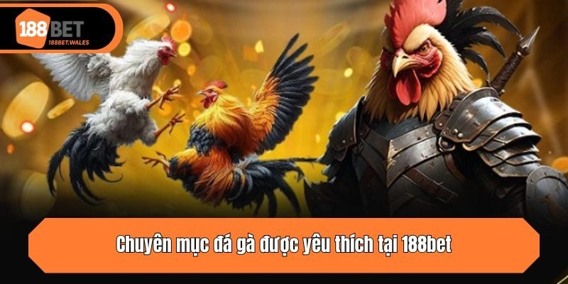 Chuyên mục đá gà được yêu thích tại 188bet