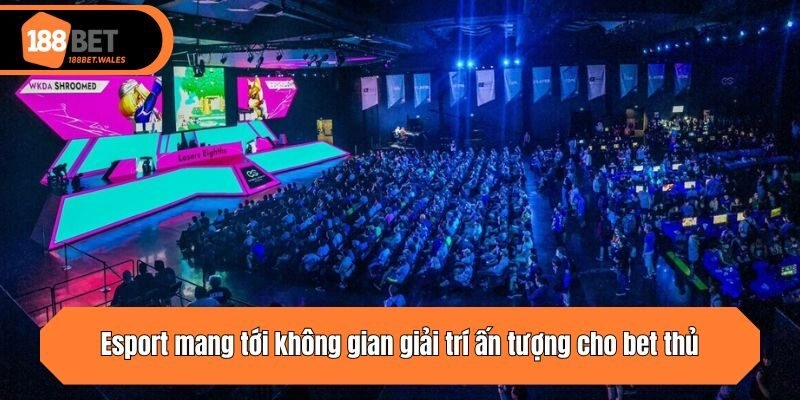 Esport mang tới không gian giải trí ấn tượng cho bet thủ