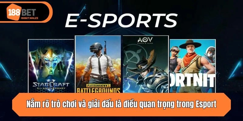 Nắm rõ trò chơi và giải đấu là điều quan trọng trong Esport