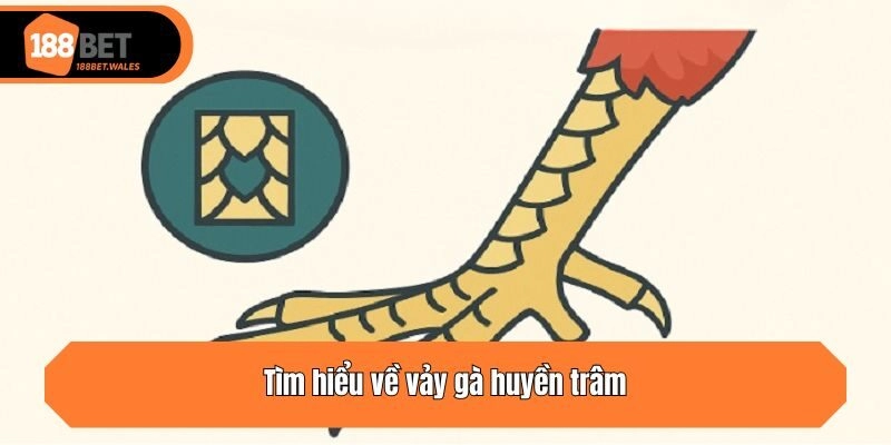 Tìm hiểu về vảy gà huyền trâm