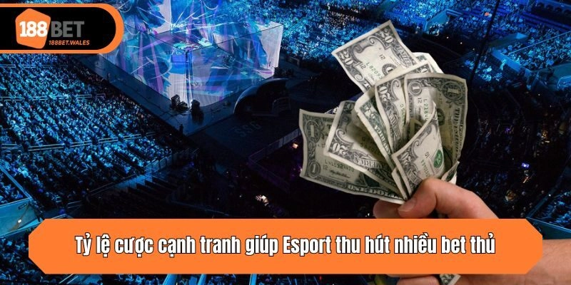 Tỷ lệ cược cạnh tranh giúp Esport thu hút nhiều bet thủ